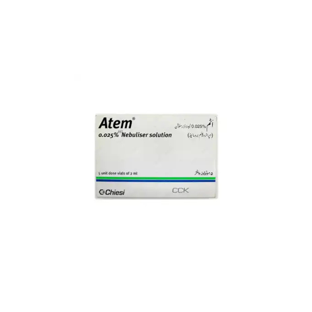 Atem Nebuliser Soln 250Mcg 2Ml